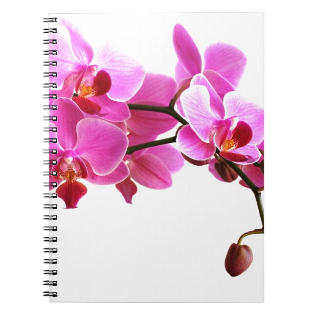 Cuaderno Carnet Orchidée (Frente)