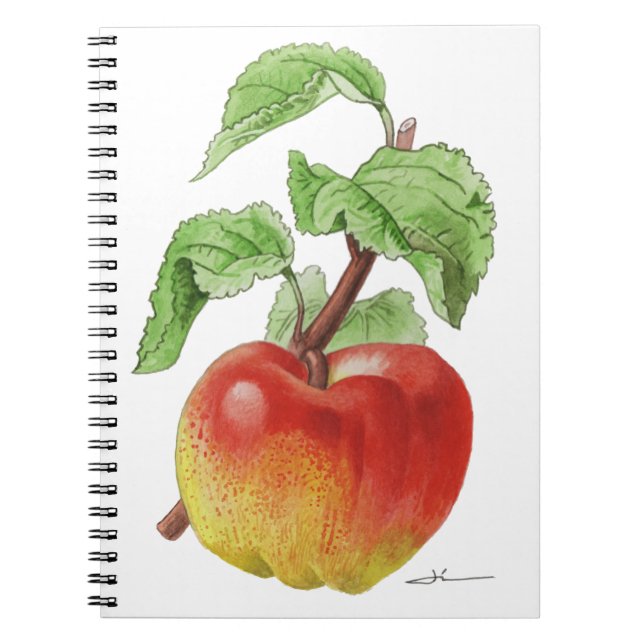 Cuaderno Carnet " Pomme Jeanne Hardy " (Frente)