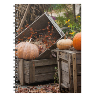 Cuaderno Carolina del Norte, Linville, calabazas de otoño