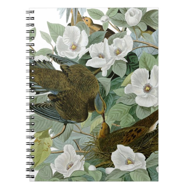 Cuaderno Carolina Pigeon Audubon Morning Dove (Frente)