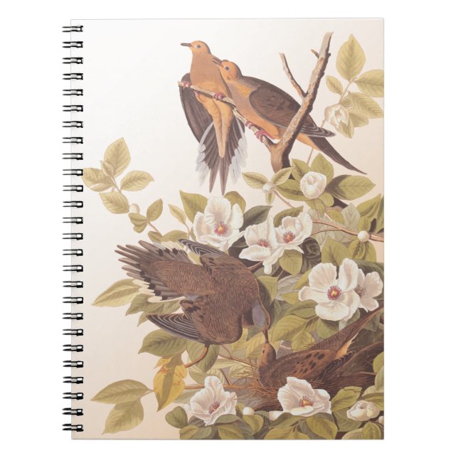Cuaderno Carolina Pigeon o Dove de duelo (Frente)