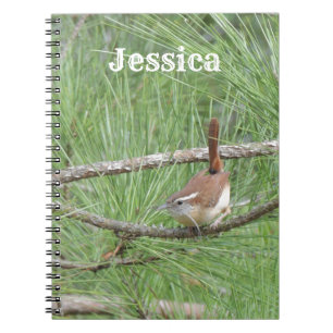 Cuaderno Carolina Wren en pino