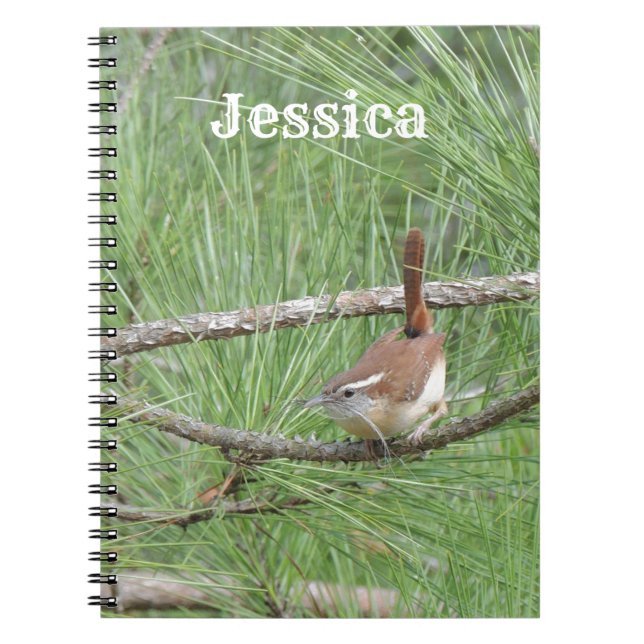 Cuaderno Carolina Wren en pino (Frente)