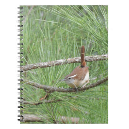 Cuaderno Carolina Wren en un árbol de pino