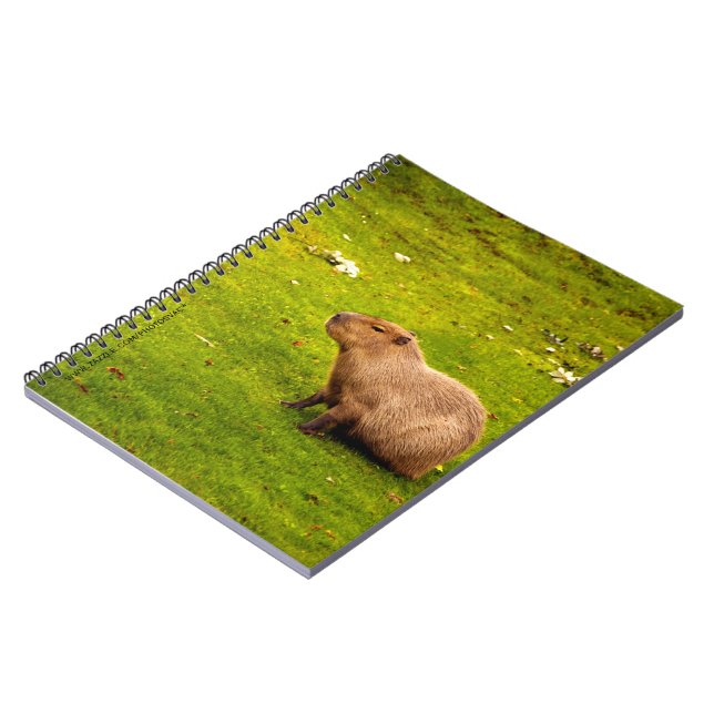 Cuaderno Carpincho (Lado Izquierdo)