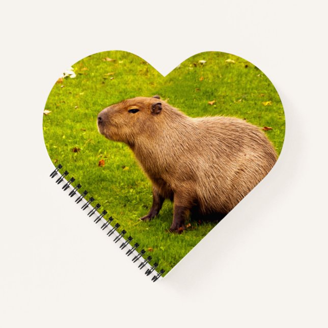 Cuaderno Carpincho (Anverso)