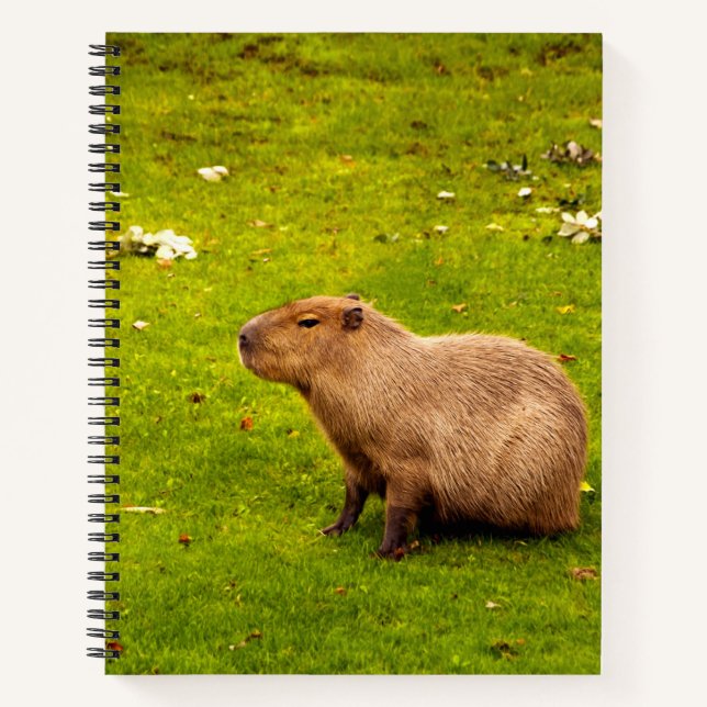 Cuaderno Carpincho (Anverso)