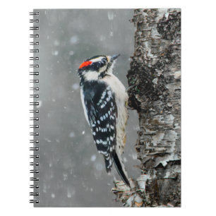 Cuaderno Carpintero lechoso en nieve - Fotografía original