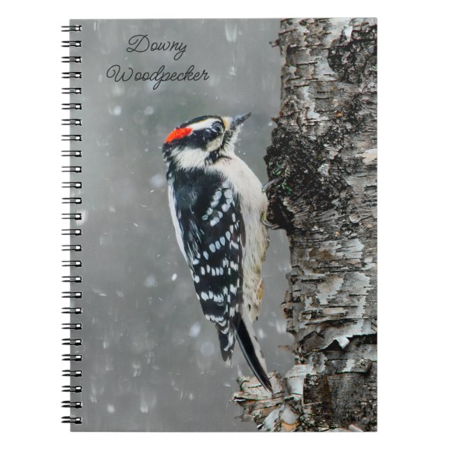 Cuaderno Carpintero lechoso en nieve - Fotografía original (Frente)