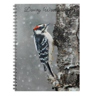 Cuaderno Carpintero lechoso en nieve - Fotografía original