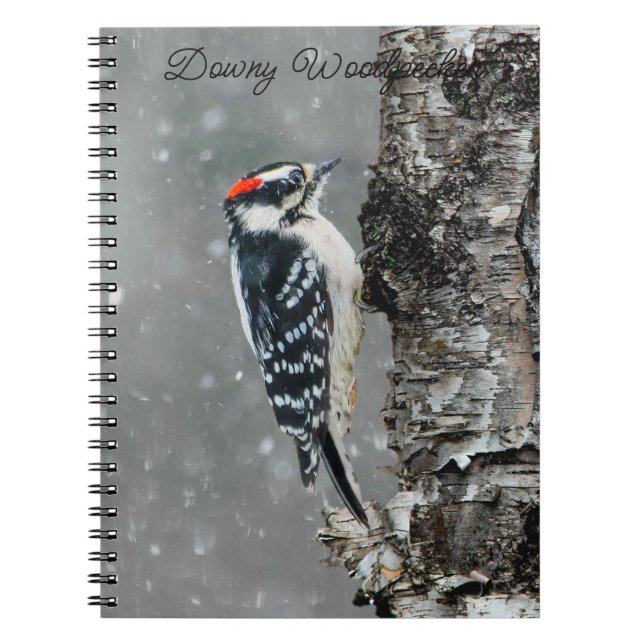 Cuaderno Carpintero lechoso en nieve - Fotografía original (Frente)