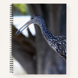 Cuaderno Carrao, El Pájaro Llorón