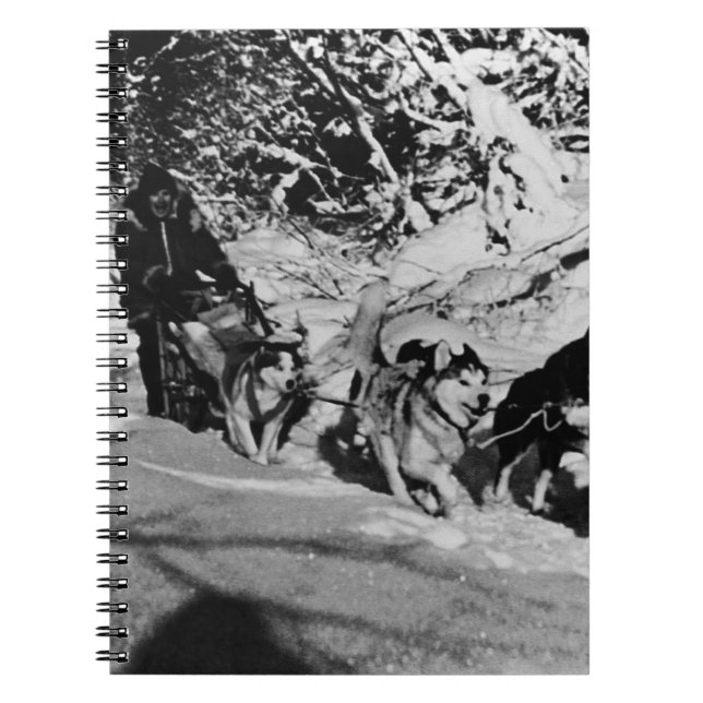 Cuaderno Carrera de Vintage Alaska eskimo Malamute 1970 (Frente)