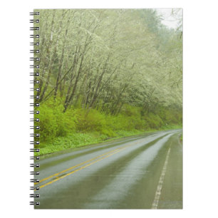 Cuaderno Carretera alejada a través del bosque