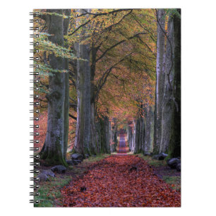 CUADERNO CARRETERA CON HOJAS CAÍDAS ENTRE ÁRBOLES