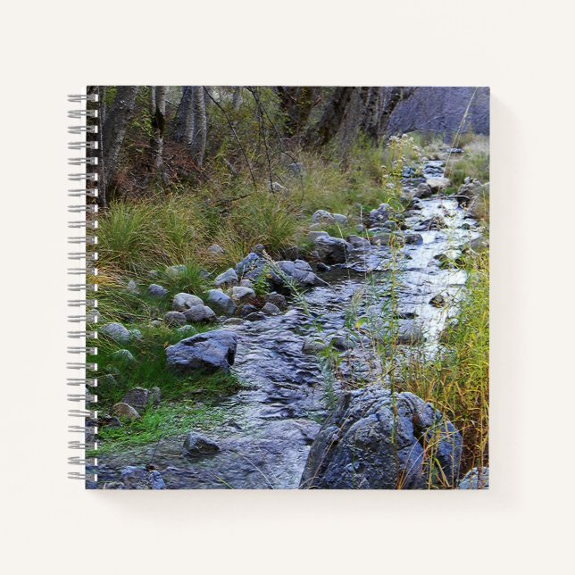Cuaderno Carretera East Fork/Hayfork...... (Anverso)