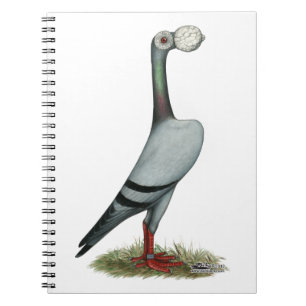 Cuaderno Carrier Pigeon 2012
