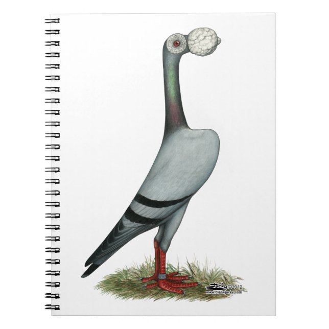 Cuaderno Carrier Pigeon 2012 (Frente)