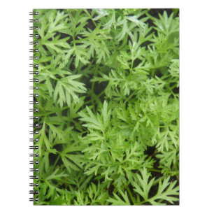 Cuaderno Carrot Tops Notebook