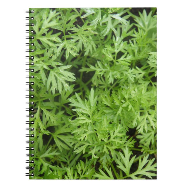 Cuaderno Carrot Tops Notebook (Frente)
