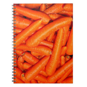 CUADERNO CARROTAS