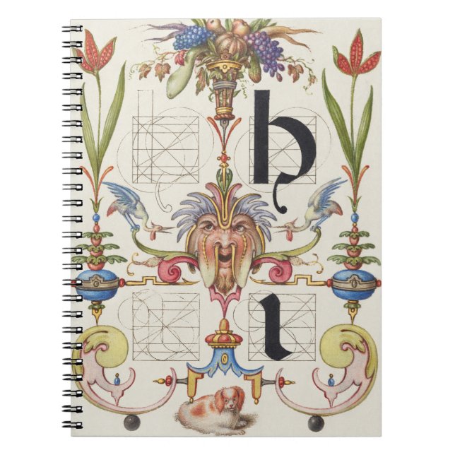 CUADERNO CARTA BOTÁNICA DE CALIGRAFÍA I HOEFNAGEL ALPHABET (Frente)