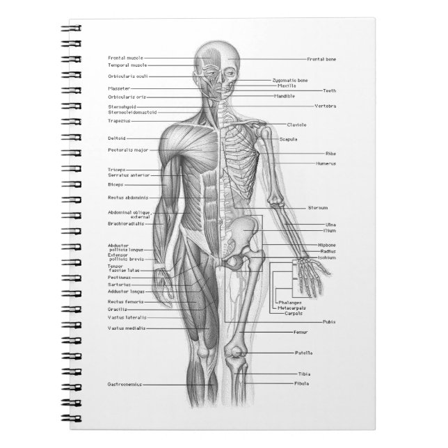 Cuaderno Carta humana de la anatomía (Frente)