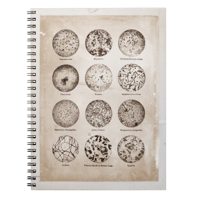 Cuaderno Carta magnificada de la medicina del vintage de (Frente)