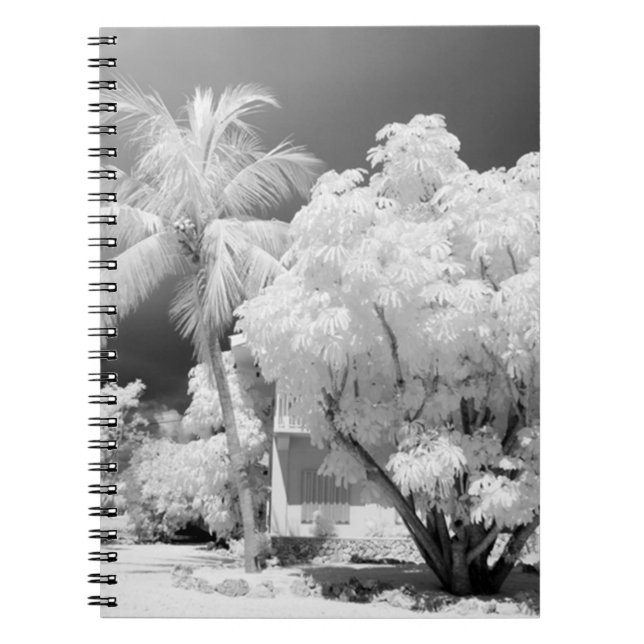 Cuaderno casa de Florida Keys y sus palmeras, EE. UU. 2 (Frente)
