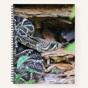 Cuaderno Cascabel en la naturaleza