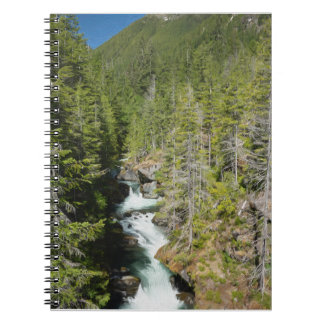 Cuaderno Cascada en el bosque nacional olímpico