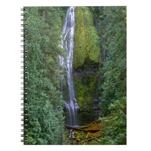 Cuaderno Cascada Lower Proxy | Bosque Nacional Willamette (Frente)