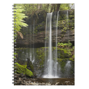 Cuaderno Cascada Russell, Parque Nacional Mount Field,