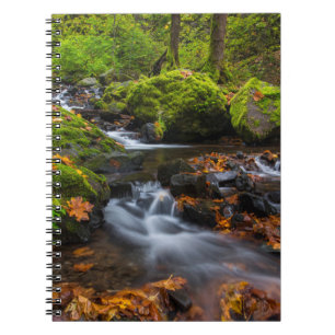 Cuaderno Cascada Starvation Creek Desfiladero de Columbia
