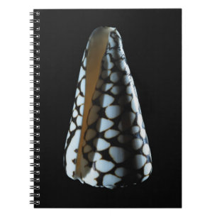 Cuaderno Cáscara 2 del cono