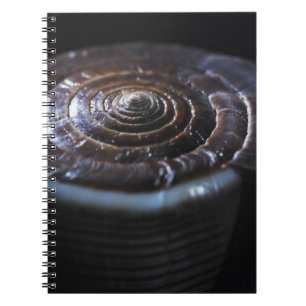 Cuaderno Cáscara del cono