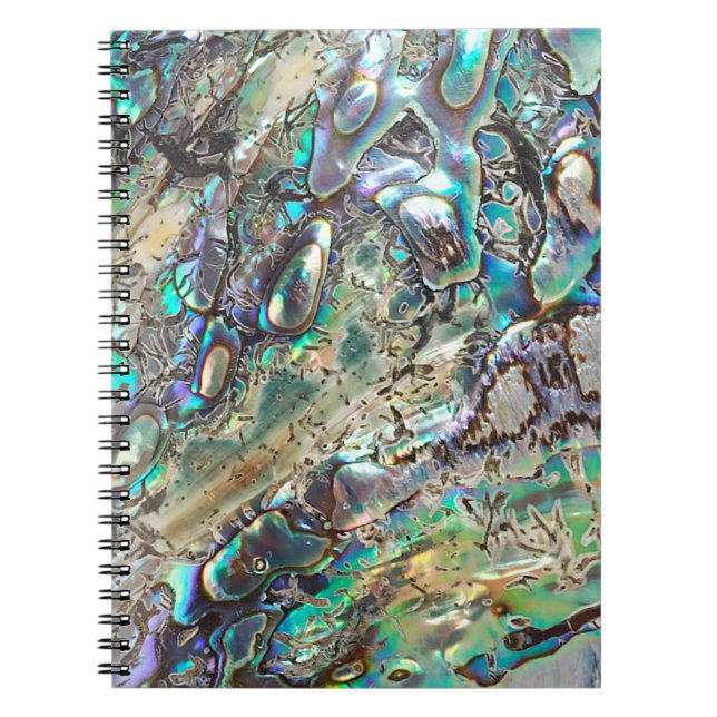 Cuaderno Cáscara del paua de la reina (Frente)