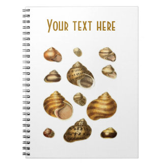 Cuaderno Cáscaras y tema marítimo, cáscara marrón del mar