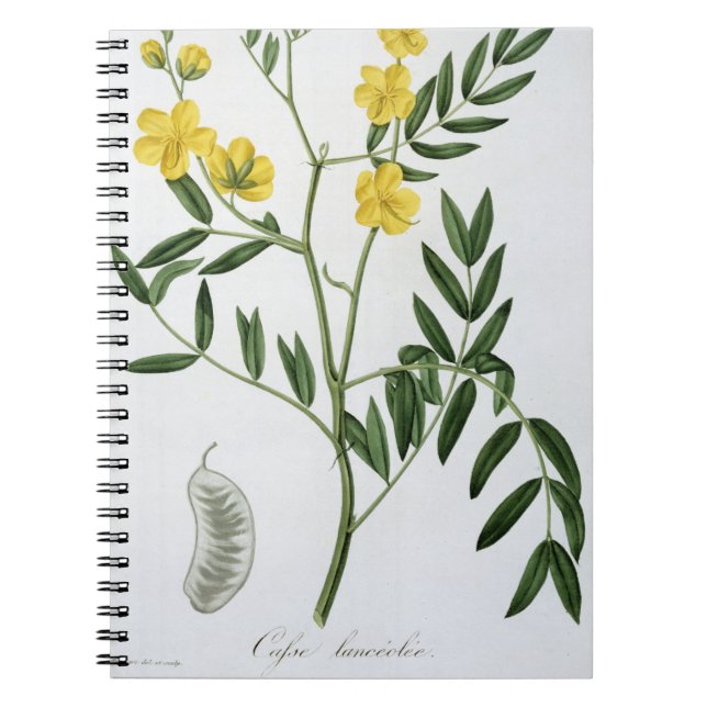 Cuaderno Casia de "Phytographie Medicale" por José Roqu (Frente)