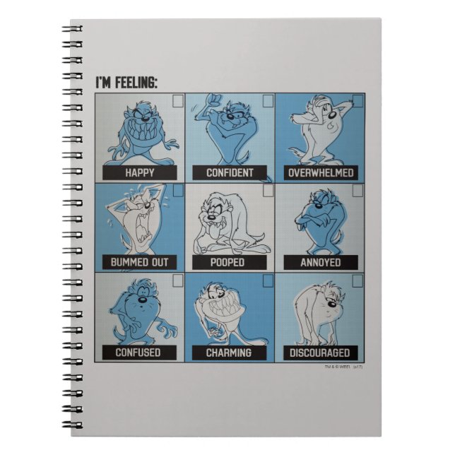 Cuaderno Casilla de verificación Emotion de TAZ™ (Frente)
