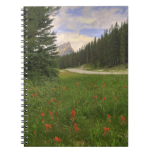 Cuaderno Castillo de Montaña Banff