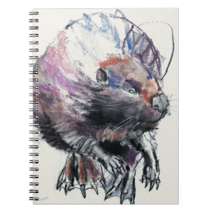 Cuaderno Castor 2001
