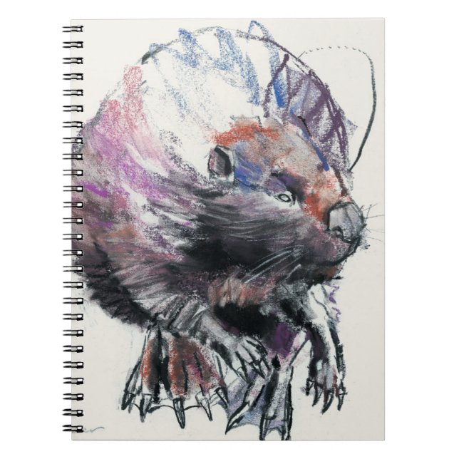 Cuaderno Castor 2001 (Frente)