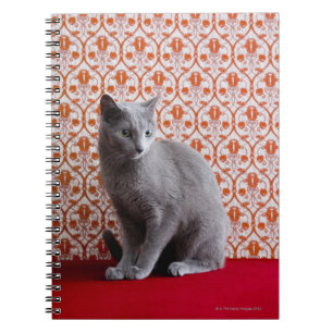 Cuaderno Cat (azul ruso) y fondo de papel pintado