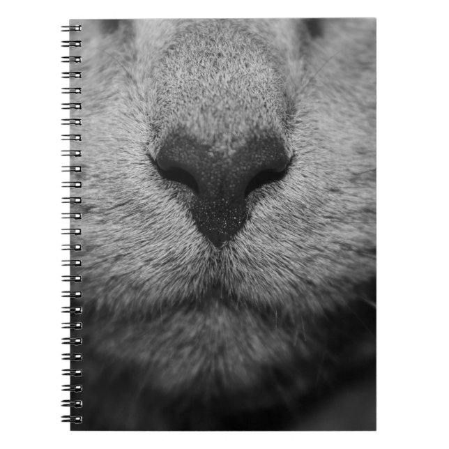 CUADERNO CAT NARIZ EN NEGRO Y BLANCO (Frente)