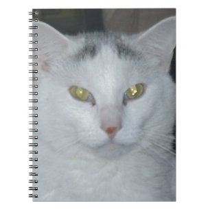 Cuaderno Cat Thoughts White Cat