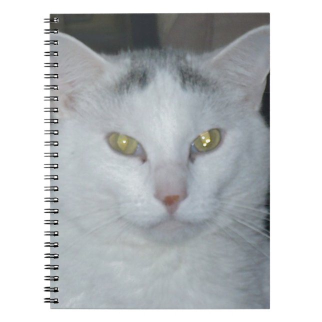 Cuaderno Cat Thoughts White Cat (Frente)