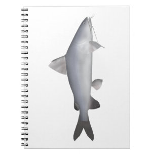 Cuaderno Catálogo de salmón azul