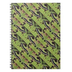 Cuaderno Catalpa Worms la pesca del siluro de Camo