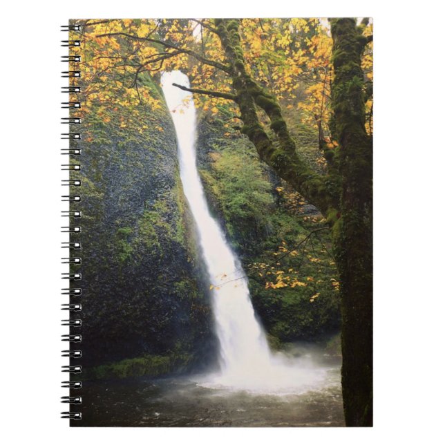 Cuaderno Cataratas de cola de caballo, Oregón (Frente)